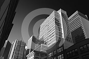 Buildings in downtown san francisco