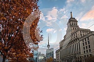 Buildings in Downtown Toronto with CN Tower and Autumn vegetation - Toronto, Ontario, Canada