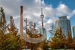 Buildings in Downtown Toronto with CN Tower and Autumn vegetation - Toronto, Ontario, Canada