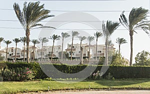 Buildings in the Egyptian area of the Sahara desert -Egypt 495