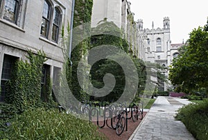 Buildings in English gothic style, garden trees and bicycles