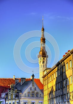 Buildings in the historic centre of Tallinn