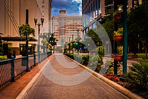 Buildings and landscaping along a street in Orlando, Florida. photo