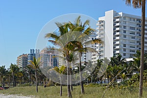 Buildings in Miami