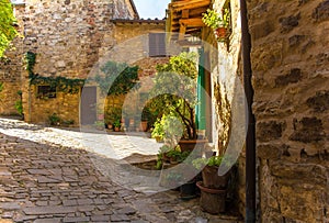 Buildings in Montefioralle  Tuscany