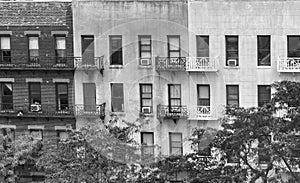 Buildings of New York in foliage season