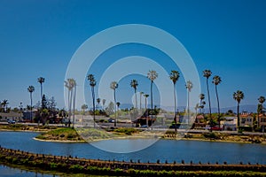 Buildings and palm trees fill the shore line at Venice Beach, CA