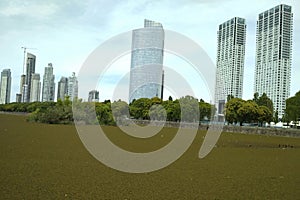 Buildings of the Port Madero Buenos Aires