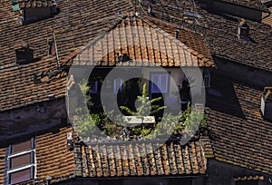 Buildings with red roofs in Lucca, Italy