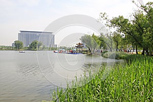 Buildings and river shore in a park