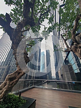 Buildings in SCBD