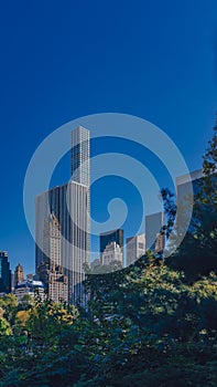 Buildings and skyscrapers of midtown Manhattan above trees, viewed from Central Park of New York City, USA