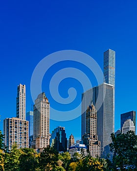 Buildings and skyscrapers of midtown Manhattan above trees, viewed from Central Park of New York City, USA