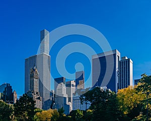 Buildings and skyscrapers of midtown Manhattan above trees, viewed from Central Park of New York City, USA