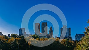 Buildings and skyscrapers of midtown Manhattan above trees, viewed from Central Park of New York City, USA