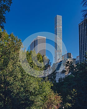 Buildings and skyscrapers of midtown Manhattan above trees, viewed from Central Park of New York City, USA