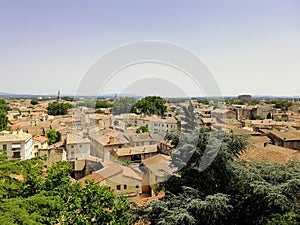 Buildings surrounded by trees under the sunlight in Avignon in France