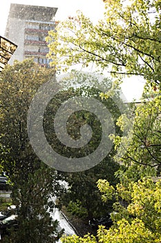 Buildings and trees urban landscape