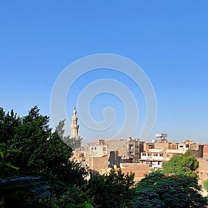 The buildings under blue sky and the tree