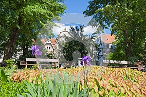 Buildings in Viersen at the pond in the old city garden