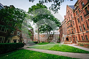 Buildings and walkways at the Harvard Yard, at Harvard University, in Cambridge, Massachusetts. photo