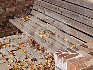 A Built-In Bench Catches Falling Leaves