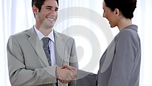 Buinessman shaking hands with a colleague