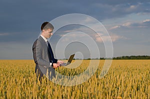 Buisnessmen in a wheat field