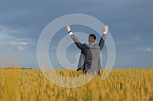 Buisnessmen in a wheat field
