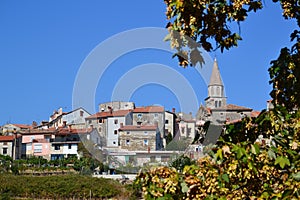 Buje in Istria - Croatia