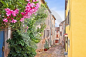 Buje. Town of Buje cobbled old colorful steet view