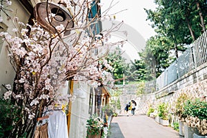 Bukchon Hanok village at spring in Seoul, Korea