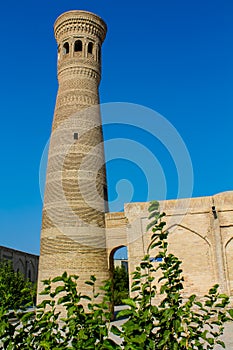 Bukhara and Samarqand city, Uzbekistan