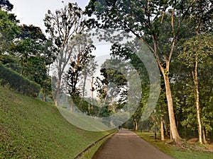 Bukit Batok nature park trail
