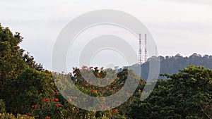 Bukit Timah Hill