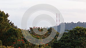 Bukit Timah Hill photo