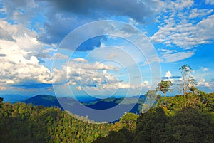 Bukit Tinggi Hill, Malaysia