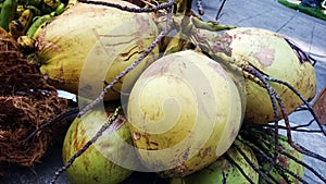 Buko, niyog (coconut fruit) from Philippines Quezon Province