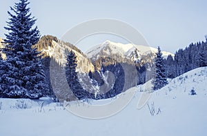 Bukreev peak above winter snowy forest and Butakov gorge in Almaty city