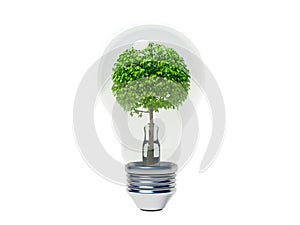Bulb