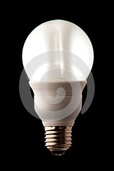 Bulb