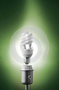 Bulb