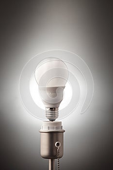 Bulb