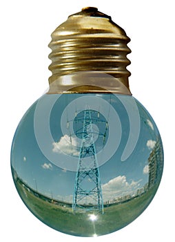 Bulb 3