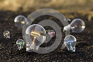 Bulb with colours