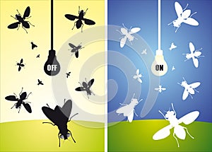 Bulb and flying flies