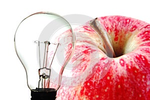 Bulb and fruit