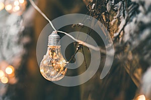 Bulb garlands lamp hanging on survival shelter in winter forest