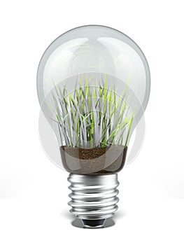 Bulb with grass inside