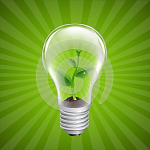 Bulb With Green Sprout Sunburst Background